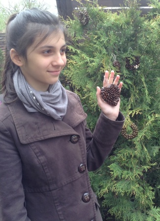 647dc1f9c6c33722813b654bfc38f650